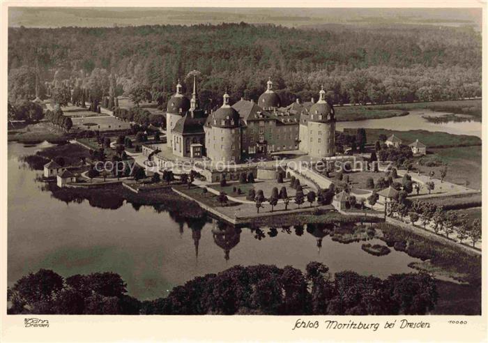 Foto Hahn Nr. Schloss Moritzburg bei Dresden