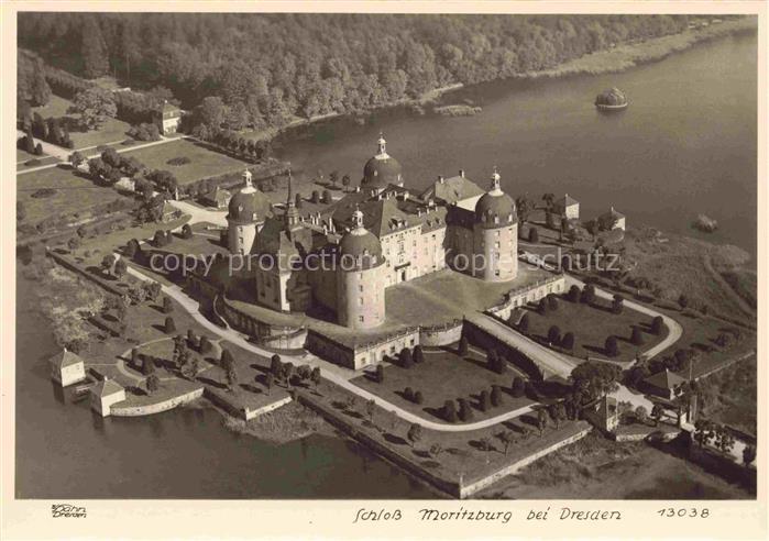 Foto Hahn Nr. 13038 Schloss Moritzburg bei Dresden