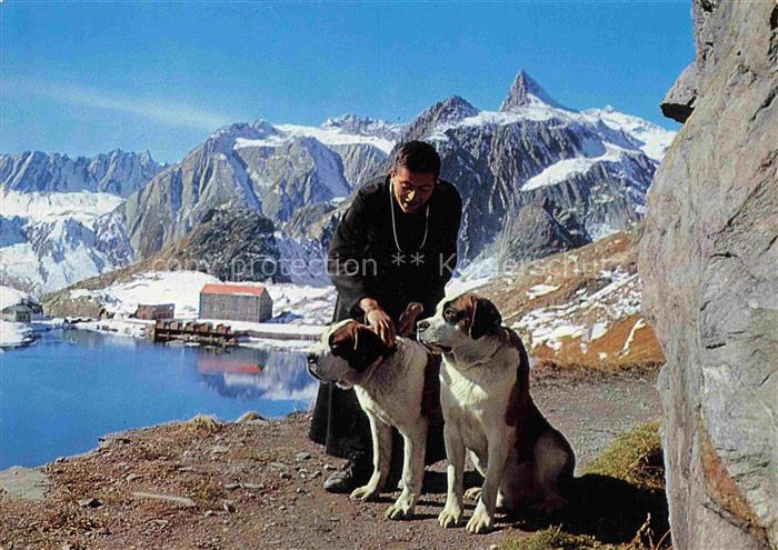 Bernhardiner Hund Dog Chien Au Col du Grand Saint Bernard Religieux de l Hospice