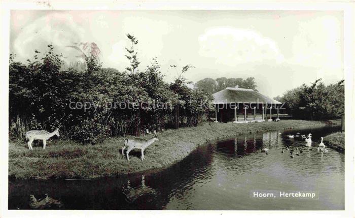 Hoorn Terschelling NL Hertekamp