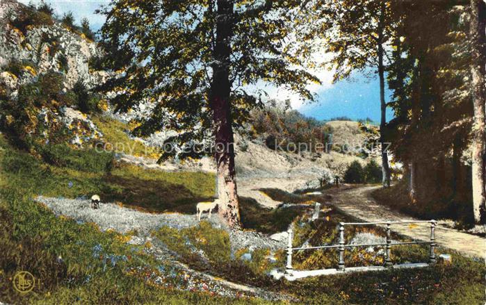 Marche-en-Famenne Belgie Le Fond des Vaulx