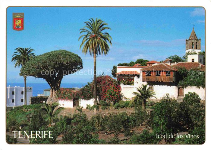 Tenerife Islas Canarias Spanien ES Drago Milenario Icod de los Vinos