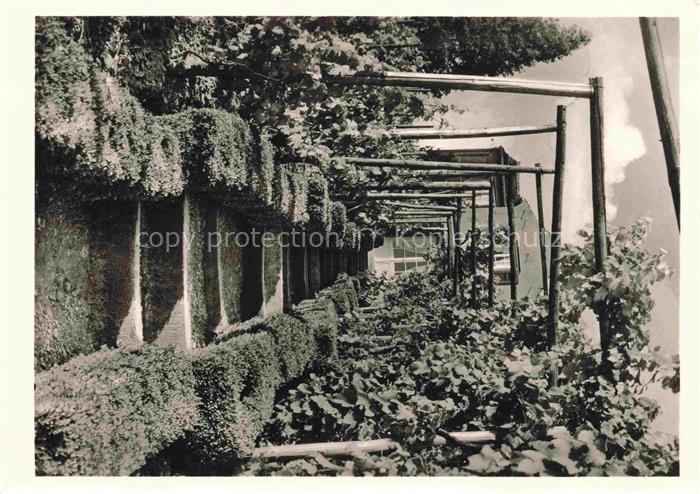 MEERSBURG Bodensee Treppenaufgang zum Fuerstenhaeusle