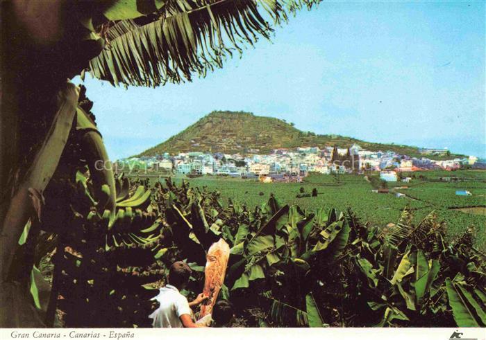 Gran Canaria ES Panorama