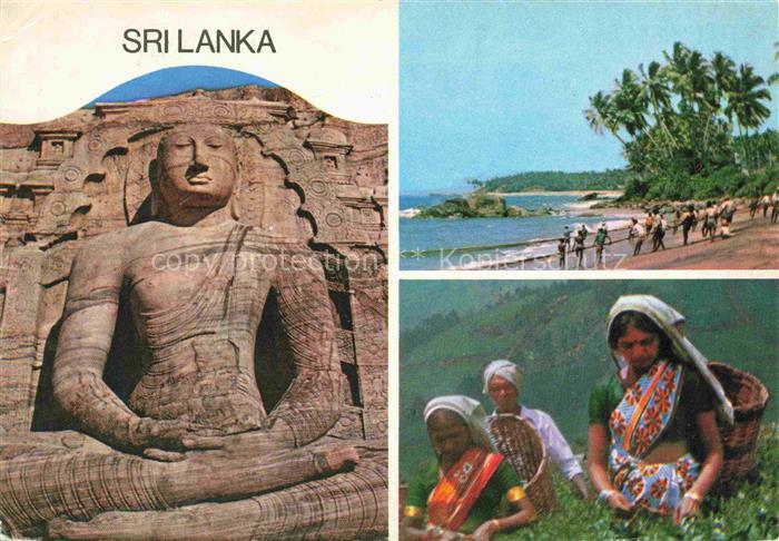 SRI LANKA Ceylon Buddha Statue Strand Teepflueckerinnen
