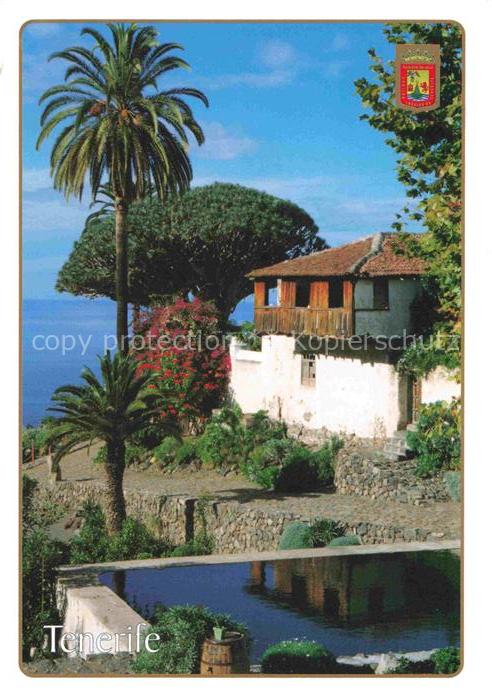 Icod de los Vinos Tenerife Islas Canarias ES Drago Milenario