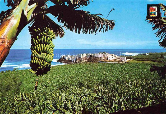 Gran Canaria ES Plataneras