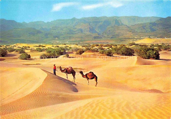 Gran Canaria ES Desierto de Maspalomas