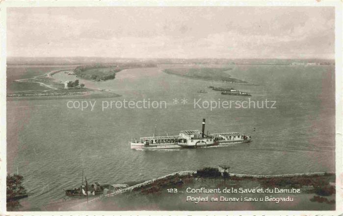 Beograd Belgrad Serbija Confluent de la Save et du Danube Dampfer