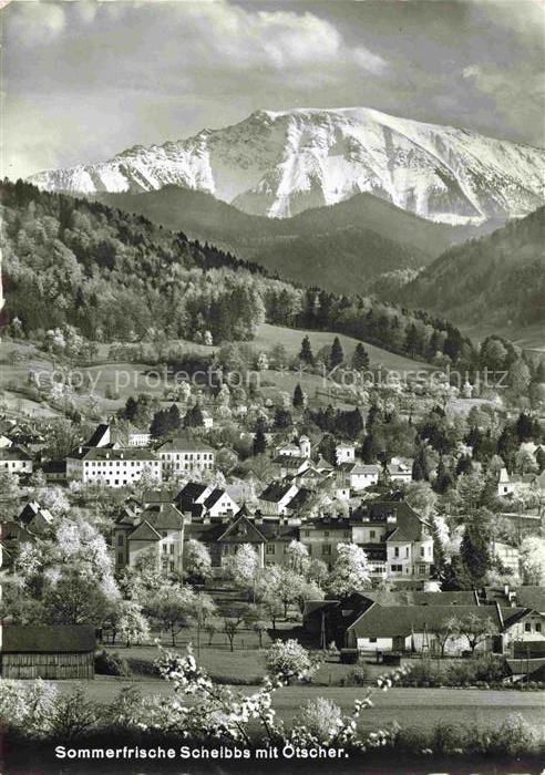 Scheibbs Niederoesterreich AT Panorama Blick gegen oetscher Sommerfrische