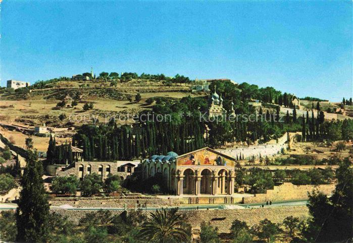 Gethsemane Gethsemani Israel General view