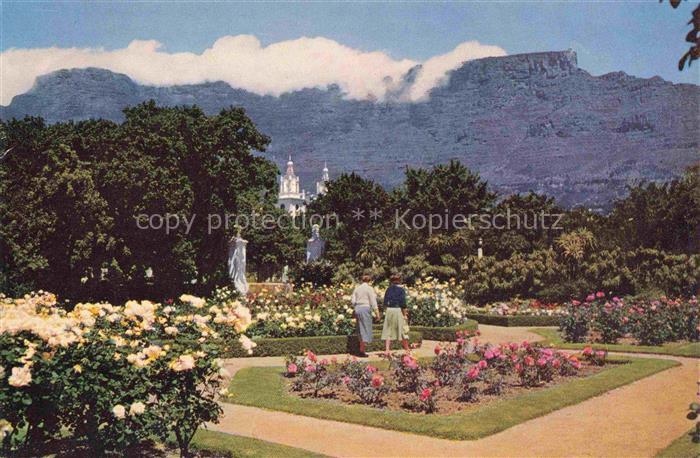 Cape-Town Kaapstad Kapstadt South-Africa RSA Botanical Gardens with Table Mounta