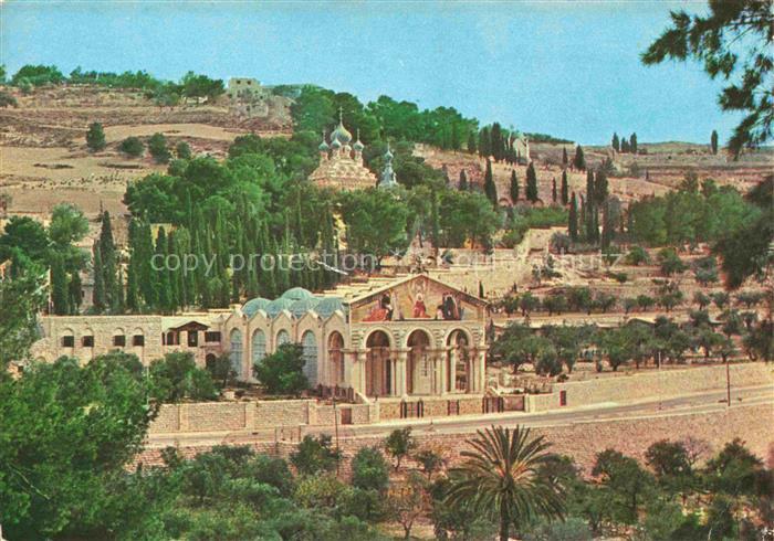 Jerusalem  Yerushalayim Israel Basilica and Gardens of Gethsemane