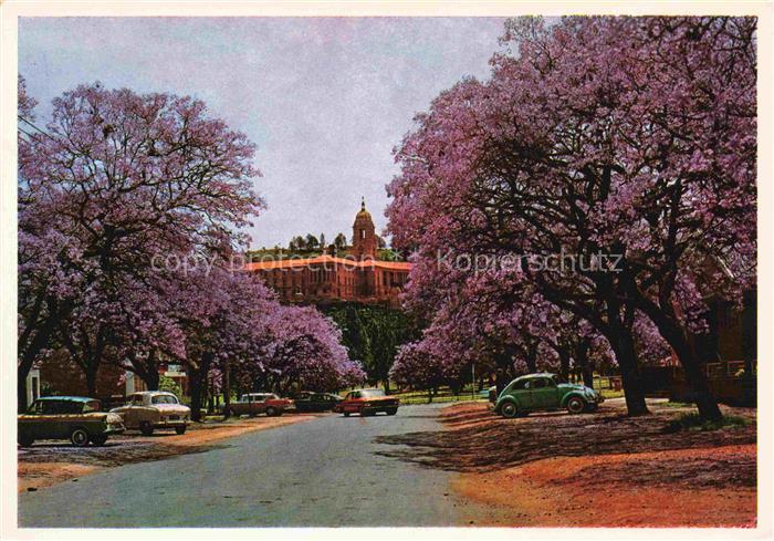 Pretoria Union Buildings with Jacrandas in full bloom