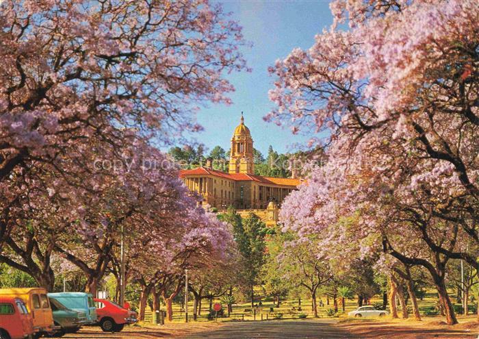 Pretoria Jacaranda Time Union Buildings