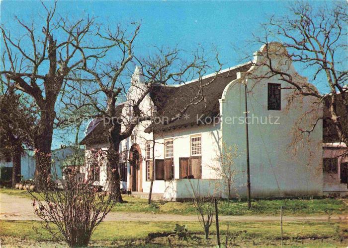 Vlottenberg Cape-Town Kaapstad Kapstadt South-Africa RSA A Magnolia blossoms