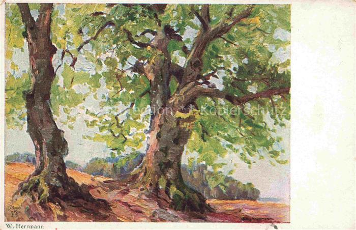 Verlag Primus Nr. 3422 W Herrmann Baeume