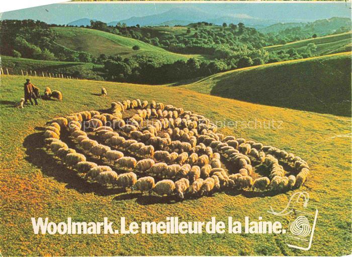 Schaeferei Sheperding Bergerie-- Woolmark Le meilleurde la laine