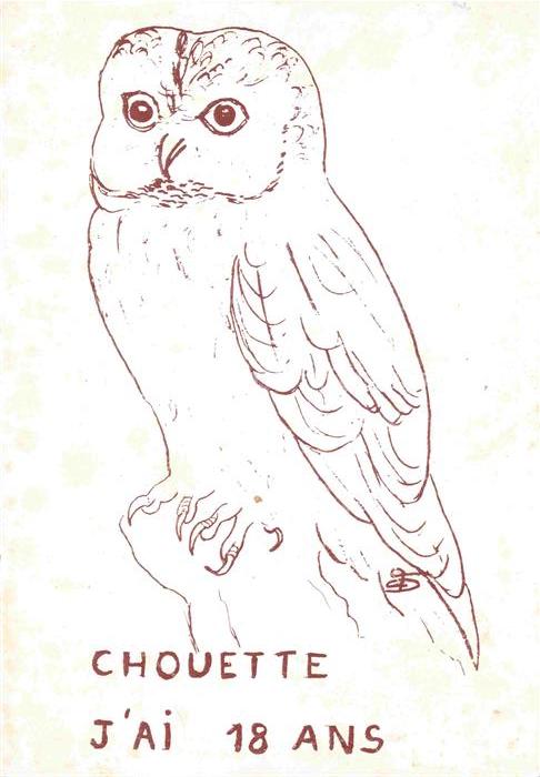Eule Owl Hibou Chouette-- Chouette 18 ans