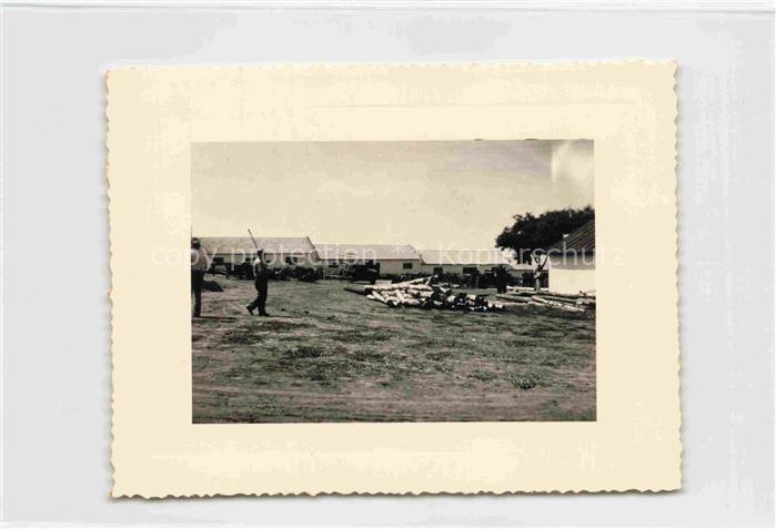 Odessa  Odeca Ukraine Un kolkhoze exploitation du bois