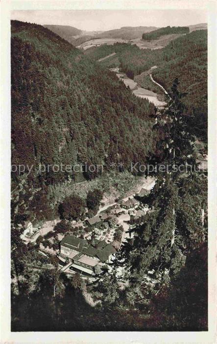 Falkenstein Bayerischer Wald Regen Panorama Blick ins Tal Brauereigaststaette