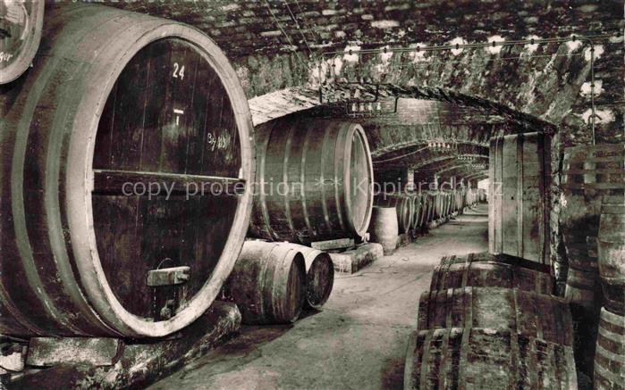 Mayschoss Ahr Weinkeller Mayschosser Winzerverein aelteste und groesste Winzerge