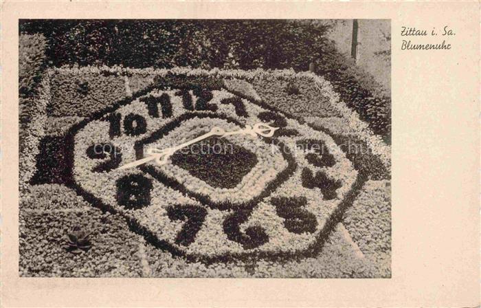 Zittau Sachsen Blumenuhr