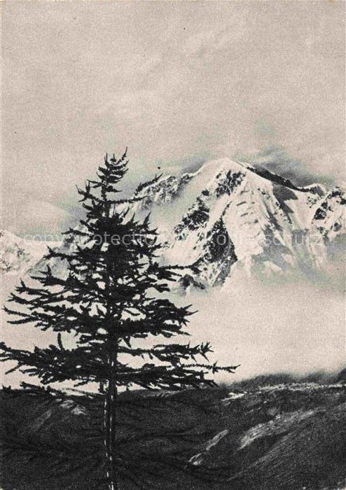 Altai-Mountains Altai-Gebirge Mongolia Panorama Gebirge