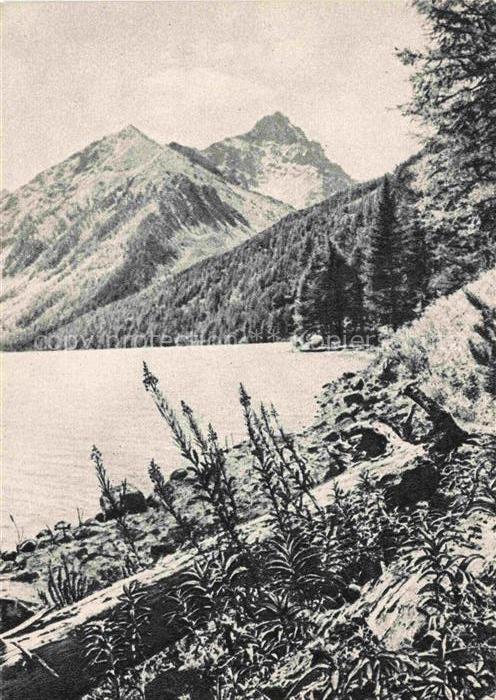 Altai-Mountains Altai-Gebirge Mongolia Panorama Lac Kotchourlinskoé