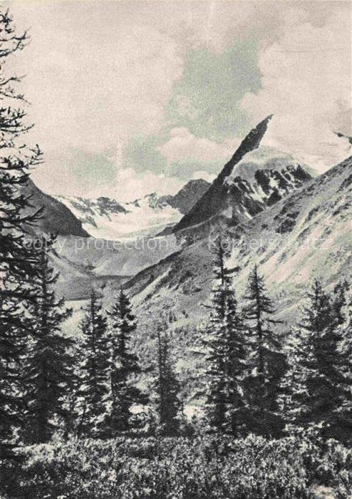 Altai-Mountains Altai-Gebirge Mongolia Panorama Paysage