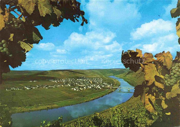 Trittenheim Mosel Panorama Moselschleife