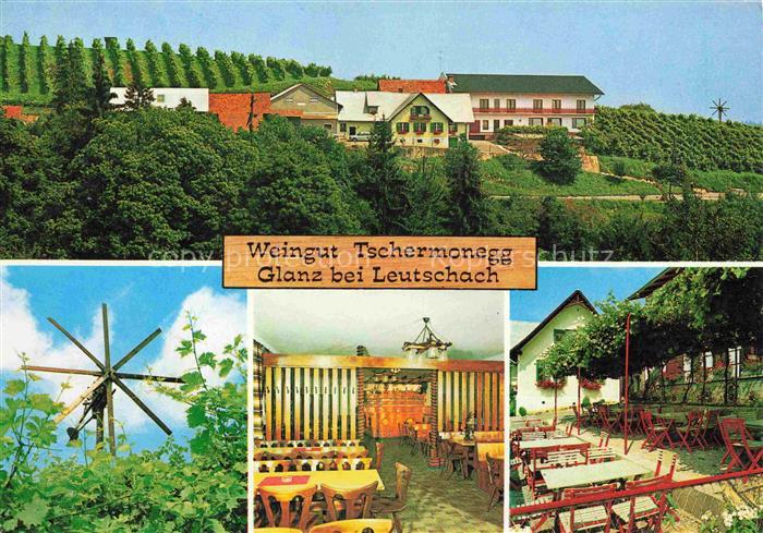 Leutschach Weingut Tschermonegg Gastraum Gartenterrasse