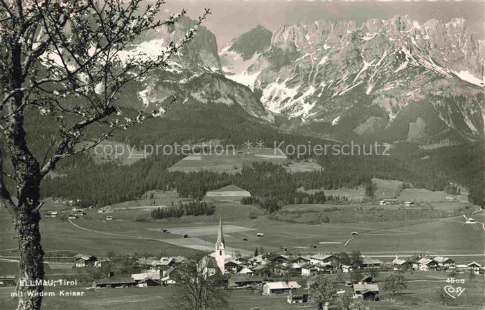 Ellmau Elmau Tirol AT Panorama Blick gegen Wilder Kaiser Kaisergebirge
