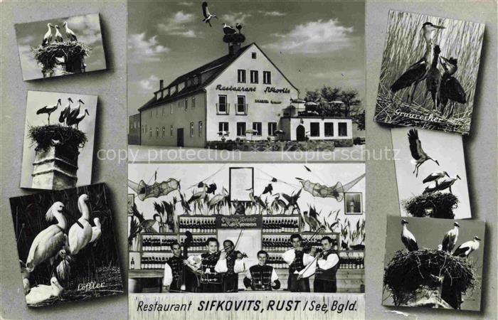 Rust Neusiedlersee Burgenland AT Restaurant Sifkovits Stadt der Stoerche Storche