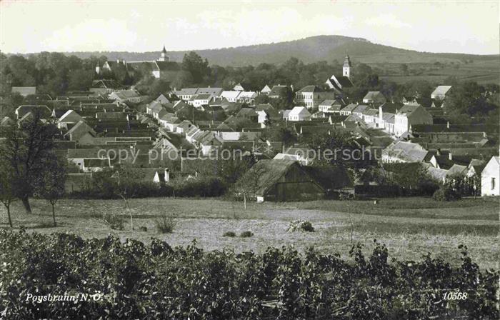 Poysbrunn Poysdorf Weinviertel Niederoesterreich AT Panorama