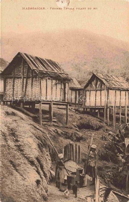Madagascar Madagaskar Femmes Tanala Pilant du Riz