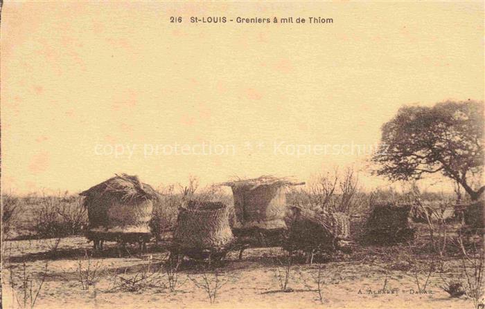 St Louis  Senegal Greniers à mil de Thiom