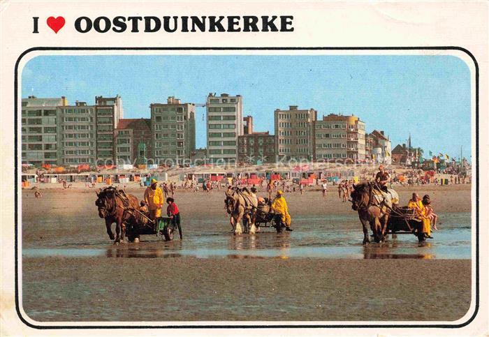 Oostduinkerke Koksijde Belgie Garnaalvissers te paard Pêcheurs de crevettes à ch