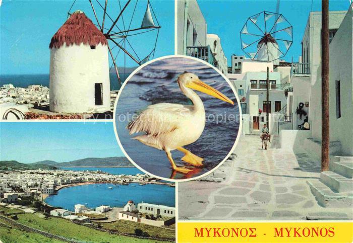 Mykonos Micono Myconos Greece Windmuehle Pelikan Panorama Ortspartie