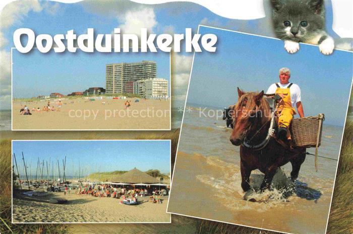 Oostduinkerke Koksijde Belgie Strand Restauration Krabbenfischer zu Pferd