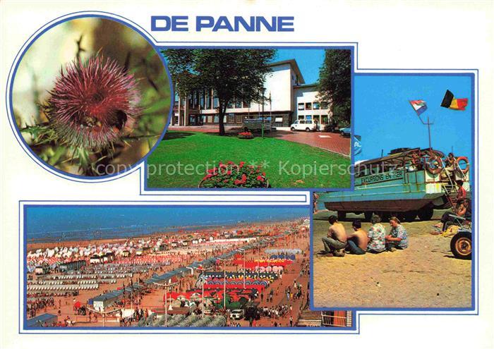 De Panne La Panne Belgie Pflanze Hotel Panorama Strand