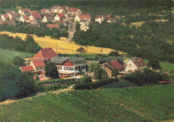 Frauenstein  Wiesbaden Gaststaette Weingut Hof Nuernberg