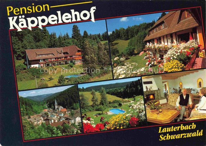 Lauterbach Schwarzwald Pension Kaeppelehof Garten Swimming Pool Panorama