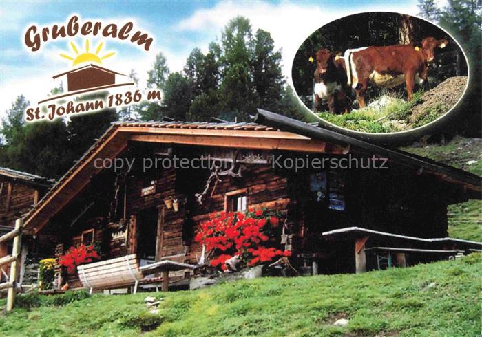 St Johann Ahrntal Suedtirol IT Gruberalm Kuehe