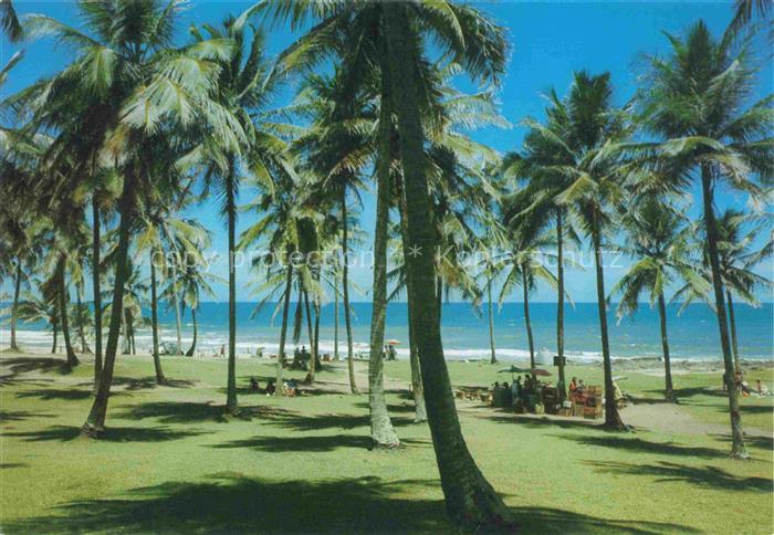 Salvador Bahia Brasil Jardim de Alá