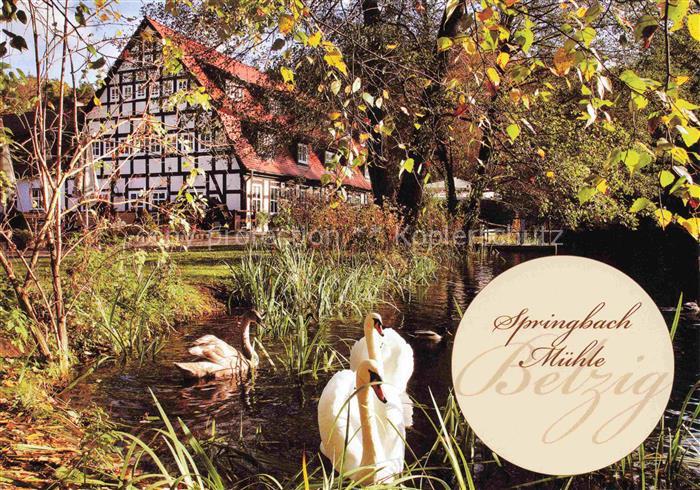 Belzig Bad Springbach-Muehle Schwaene Herbststimmung Fachwerkhaus