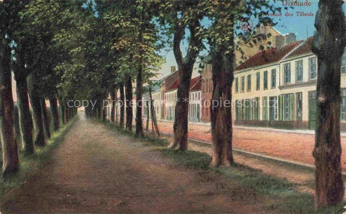 Dixmude Diksmuide Dilsmuide Belgie Avenue des Tilleuls