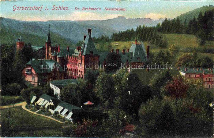 Goerbersdorf  Sokolowsko Schlesien PL Teilansicht mit Dr. Brehmer's Sanatorium
