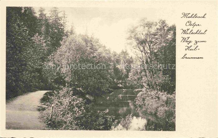 Mehlsack Braniewo Ostpreussen PL Walschtal Weg zum Heilbrunnen