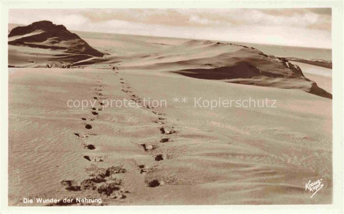 Samland Gross-Dirschkeim Donskoje Kaliningrad RU Die Wunder der Nehrung